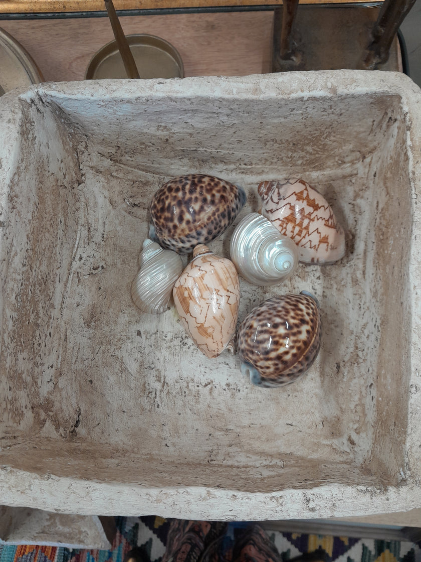 Paper Mache Pot-Rectangle
