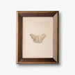 Butterfly Study Wall Art