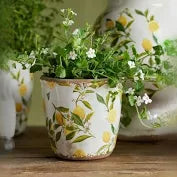 Botanical Lemon Pot by French Country Collections