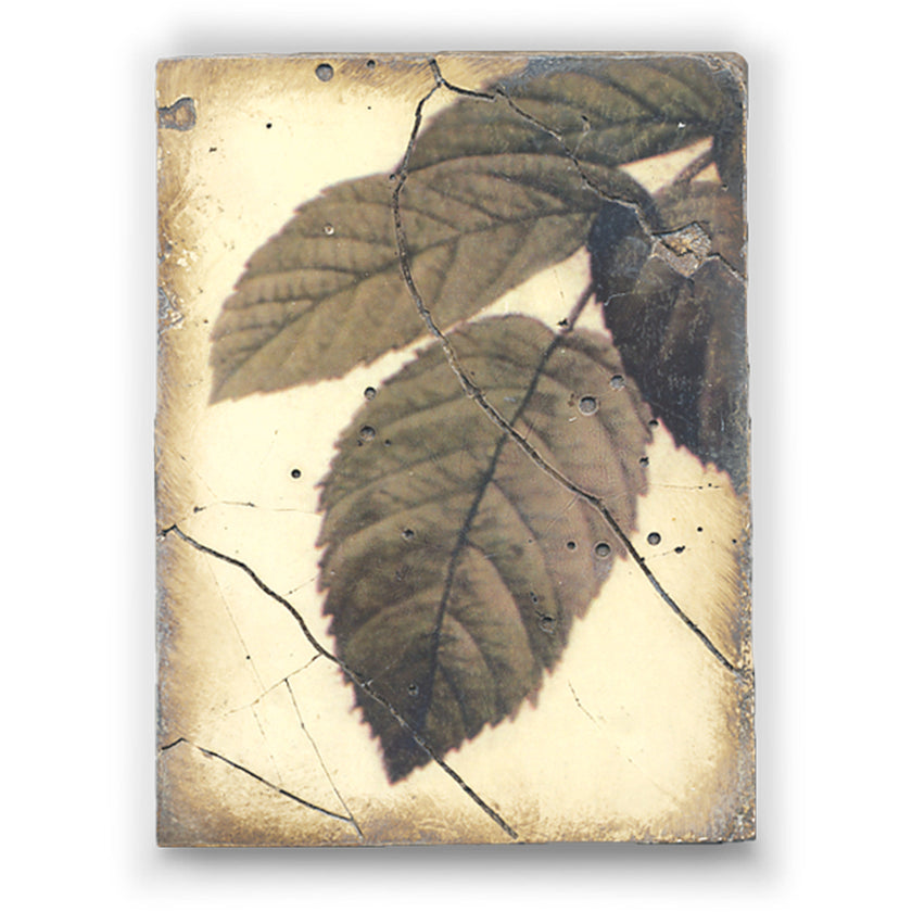 Sid Dickens Memory Block, T-111, Green Leaf