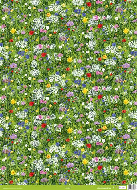 Tissue Paper Gift Pack