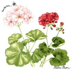 Paper + Design Napkins