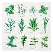 Herb Paper Napkins
