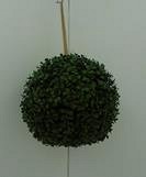 Boxwood Ball