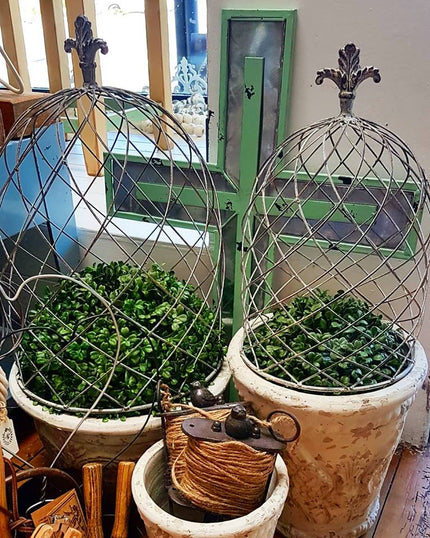 White Washed Cloche Domes Set of 3