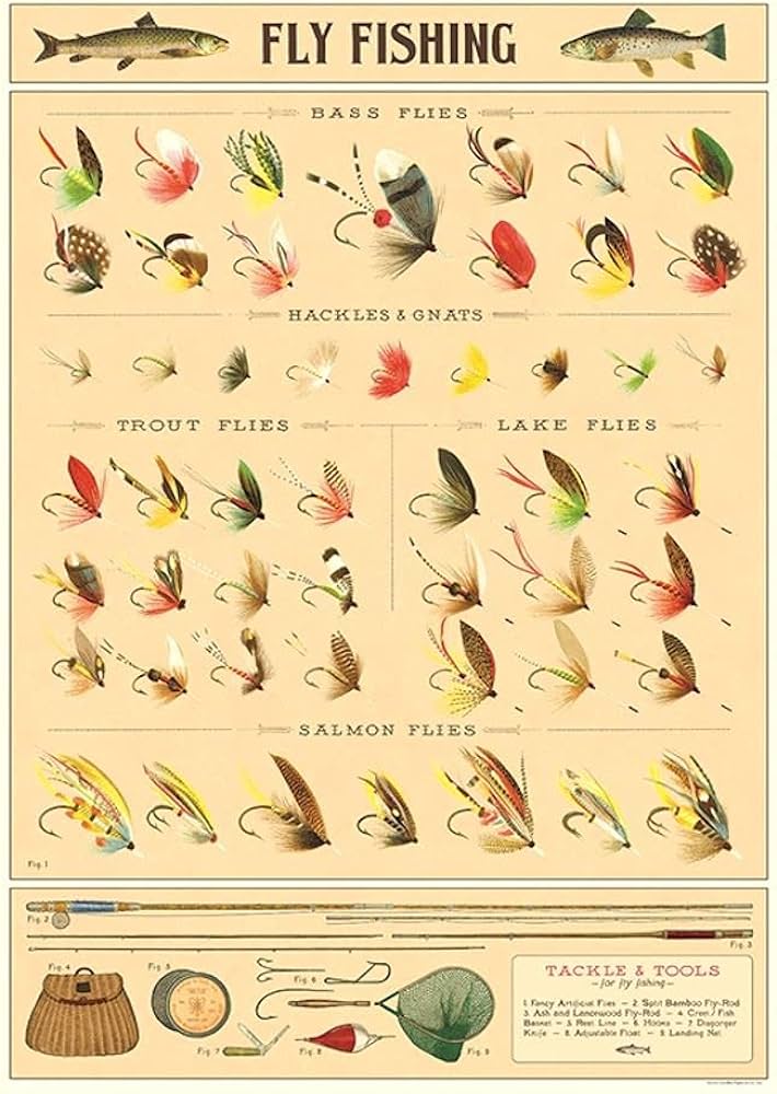 Cavallini Poster Wrap