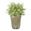 Aged Moss Pot 16cm