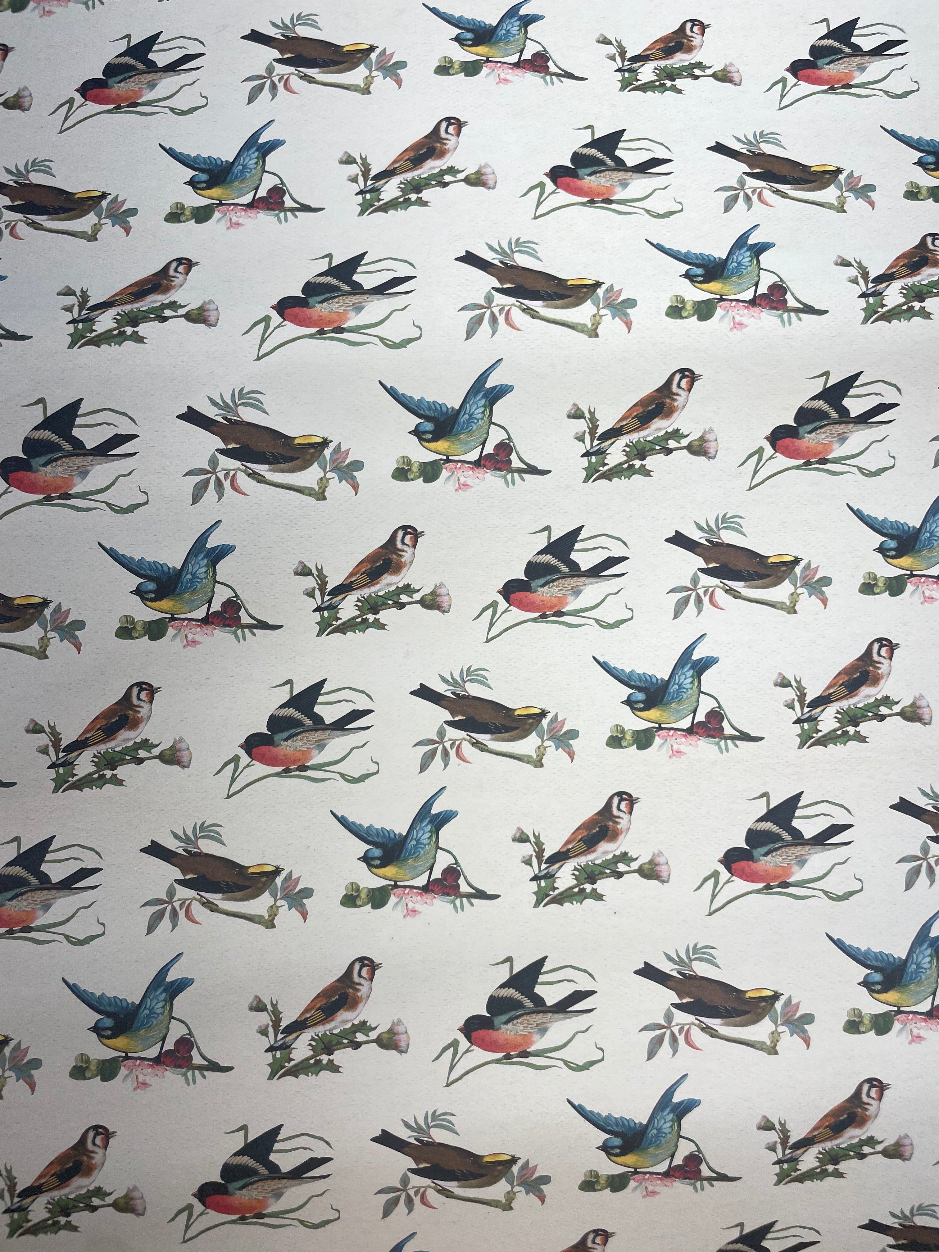 Livewires Gift Wrap (1)