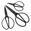 Herb Scissors Black by French Country Collections