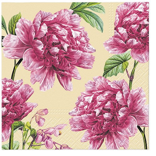 Salisbury Wholesale Paper Napkins