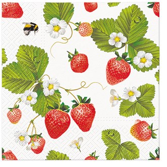 Salisbury Wholesale Paper Napkins