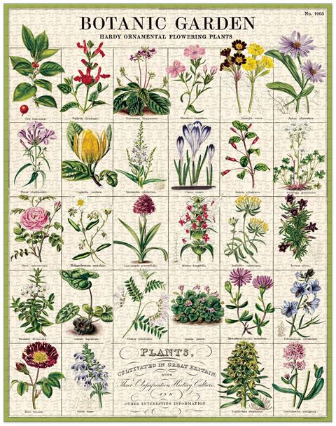 Cavallini & Co - Vintage Puzzle - Botanic Garden 1000 pieces