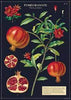 Cavallini Poster Wrap