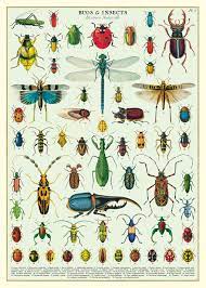 Cavallini Poster Wrap