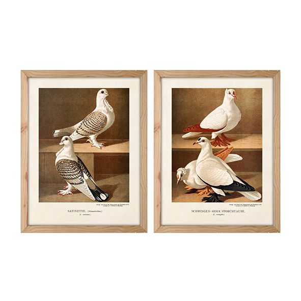 PIGEON WALL ART