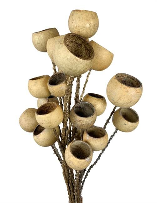 Bell Cups with Twig Stem - By Voodoo