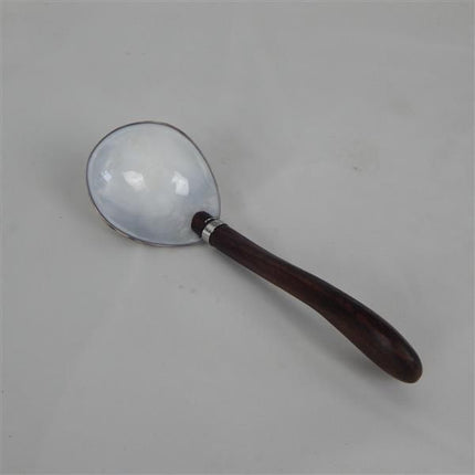 Cowrie Shell Spoon