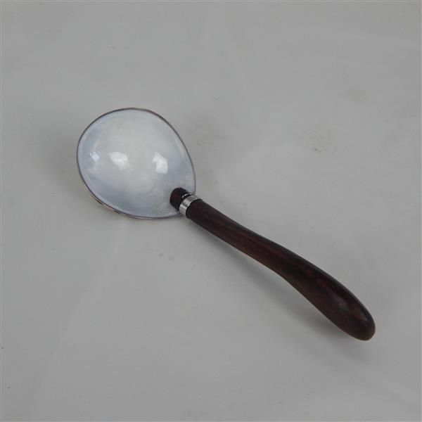 Cowrie Shell Spoon