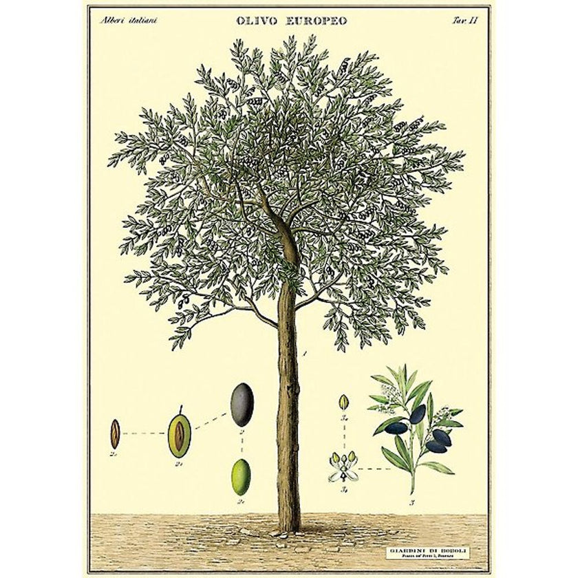 Cavallini Poster Wrap