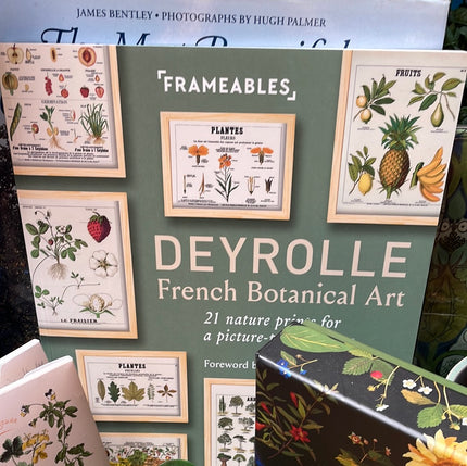 Deyrolle French Botanical Art