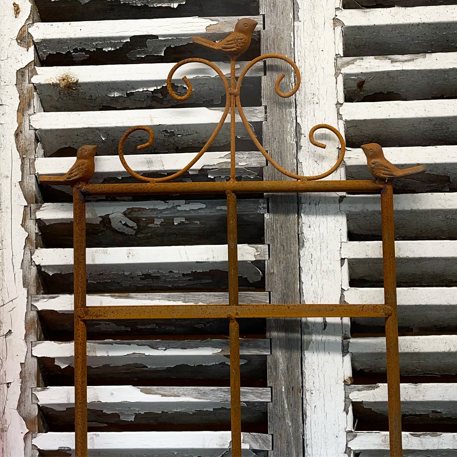 Cast Iron Plant Support 2 D Bird