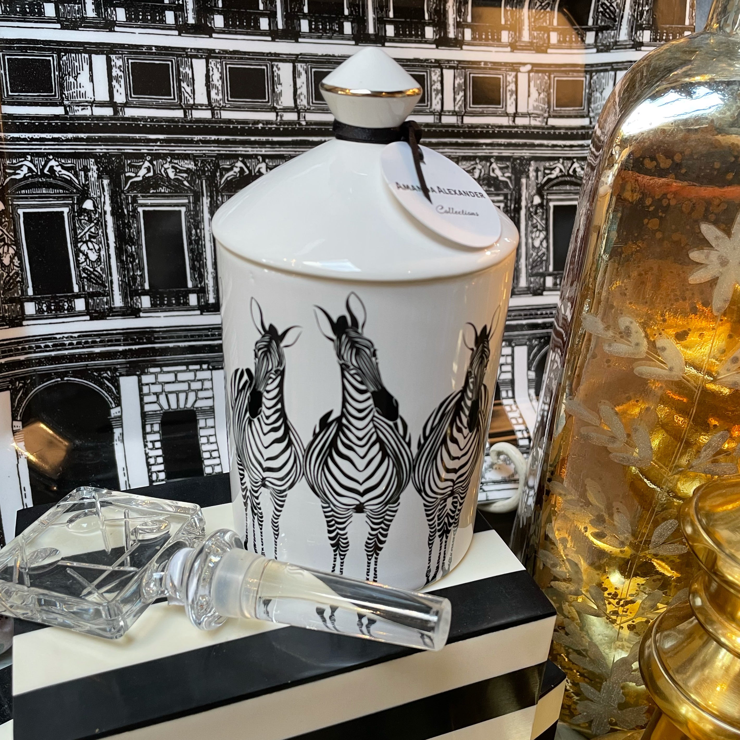 Miss Zebra Candle - Raspberry by Amanda Alexander Collections