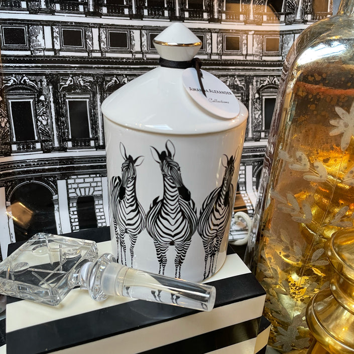 Miss Zebra Candle - Raspberry by Amanda Alexander Collections