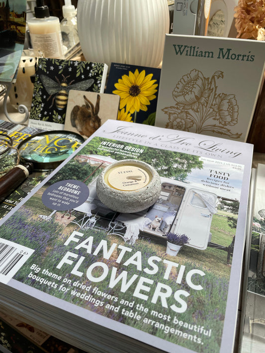 ST. EVAL Tealight White Christmas Orange and Cinnamon