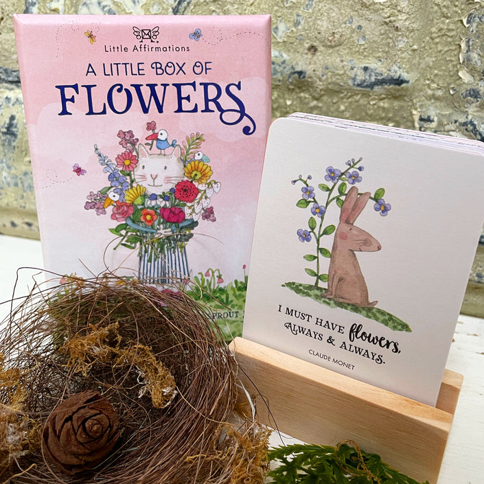 Little Affirmations Box of 24 Cards