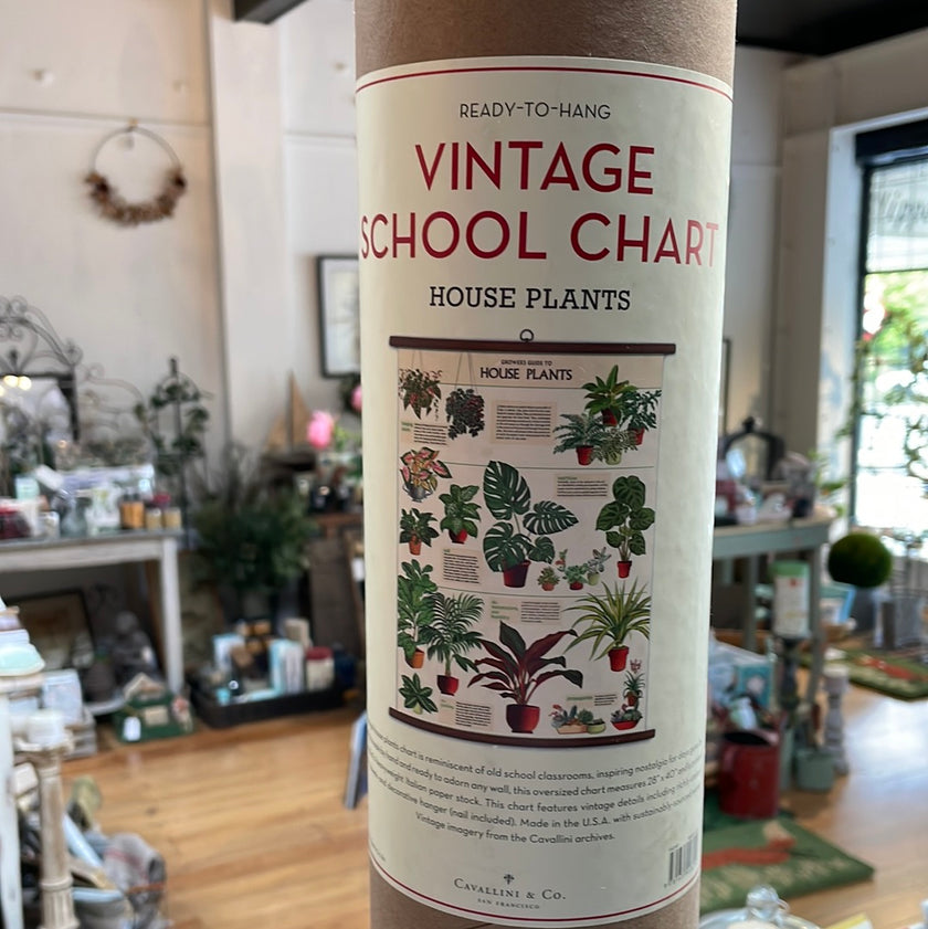 Vinatge Shool Chart - House Plants