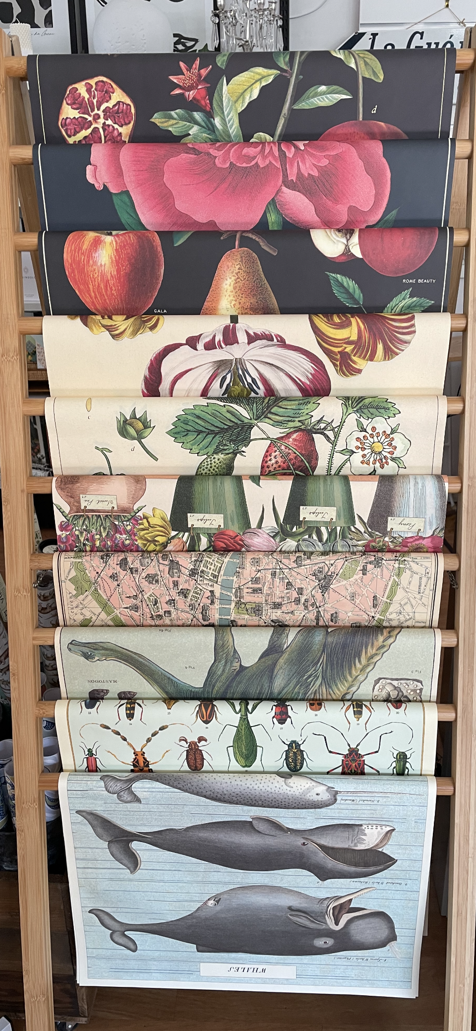 Cavallini Poster Wrap