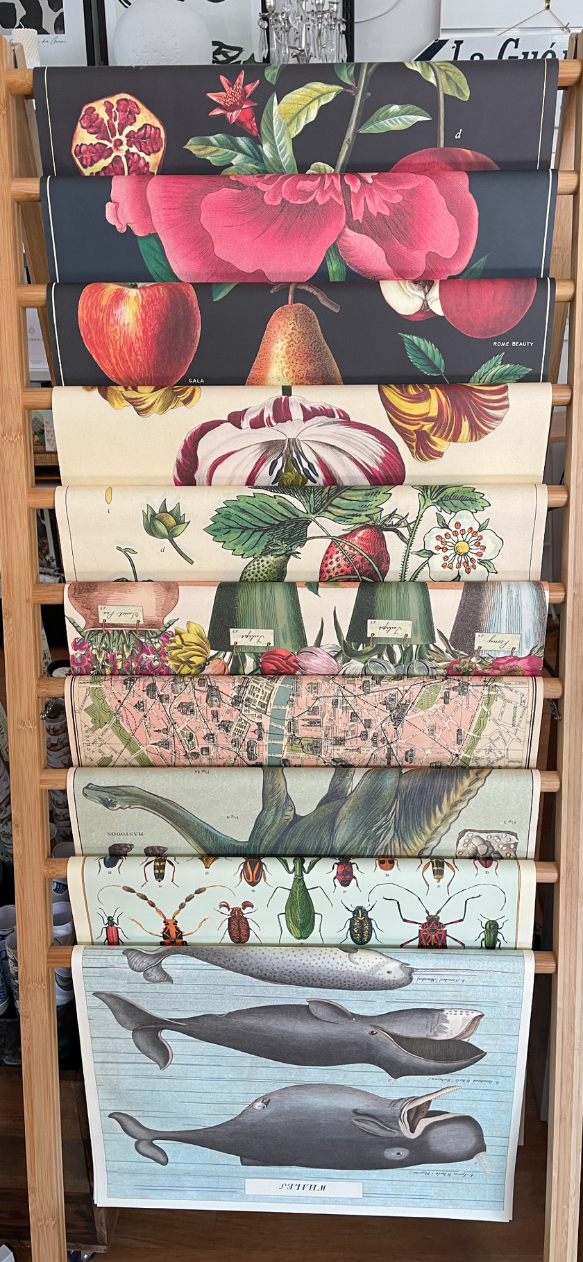 Cavallini Poster Wrap