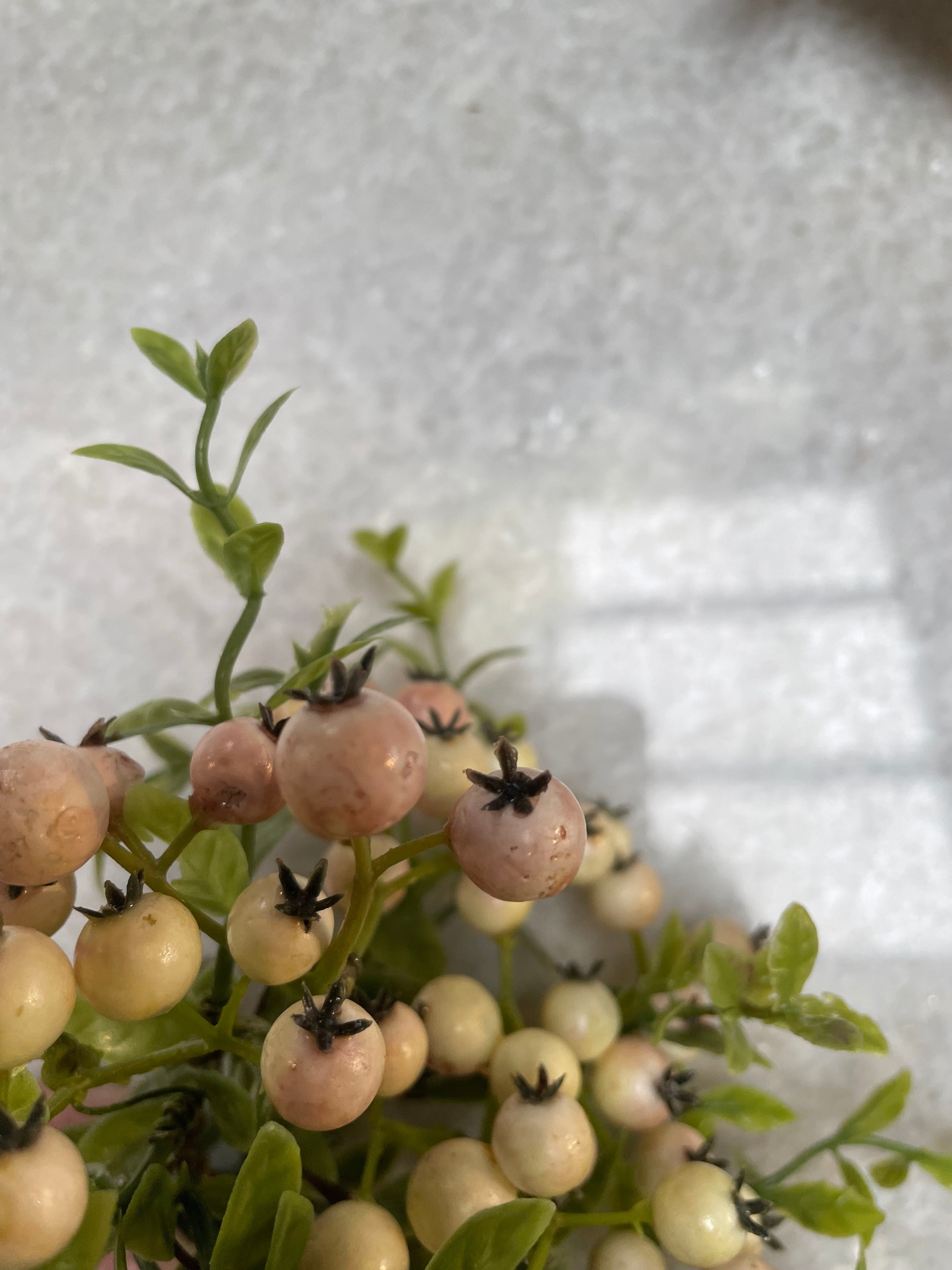 Blush Pink Berry Stem