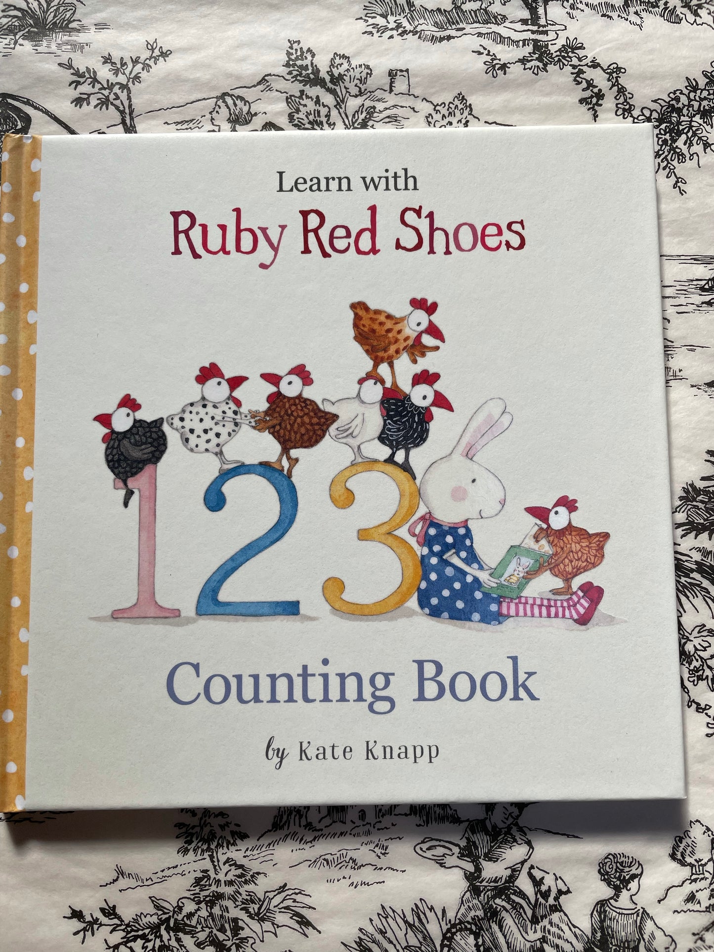 Ruby Red Shoes - Counting Book