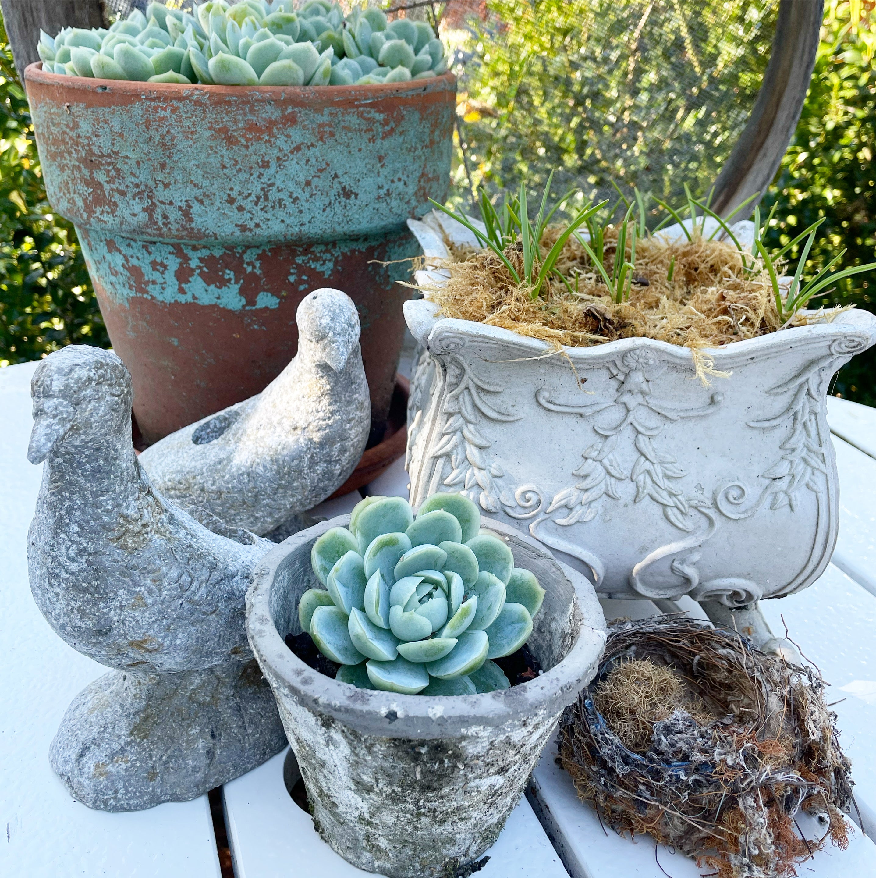 Pigeon Candleholder (pairs)