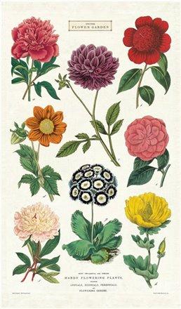 Vintage Tea Towel by Cavallini & Co